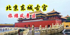 视频操蜜穴中国北京-东城古宫旅游风景区